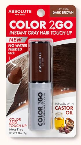 Absolute New York Color 2 Go - Instant Root Touch Up Hair Stick (HCHS04 Dark Brown, .21 oz)