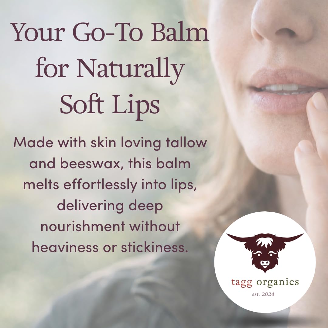 Citrus Deam Tallow Lip Balm - Moisturizing Lip Care with Grass-Fed Tallow, Natural Beeswax & Essential Oils, 4 Pack (.15 oz) Beauty and Personal Care TAGG ORGANICS