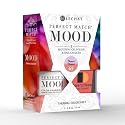 LeChat Perfect Match Mood Duo Set - Desert Flower,PMMDS65 Beauty & Personal Care LECHAT