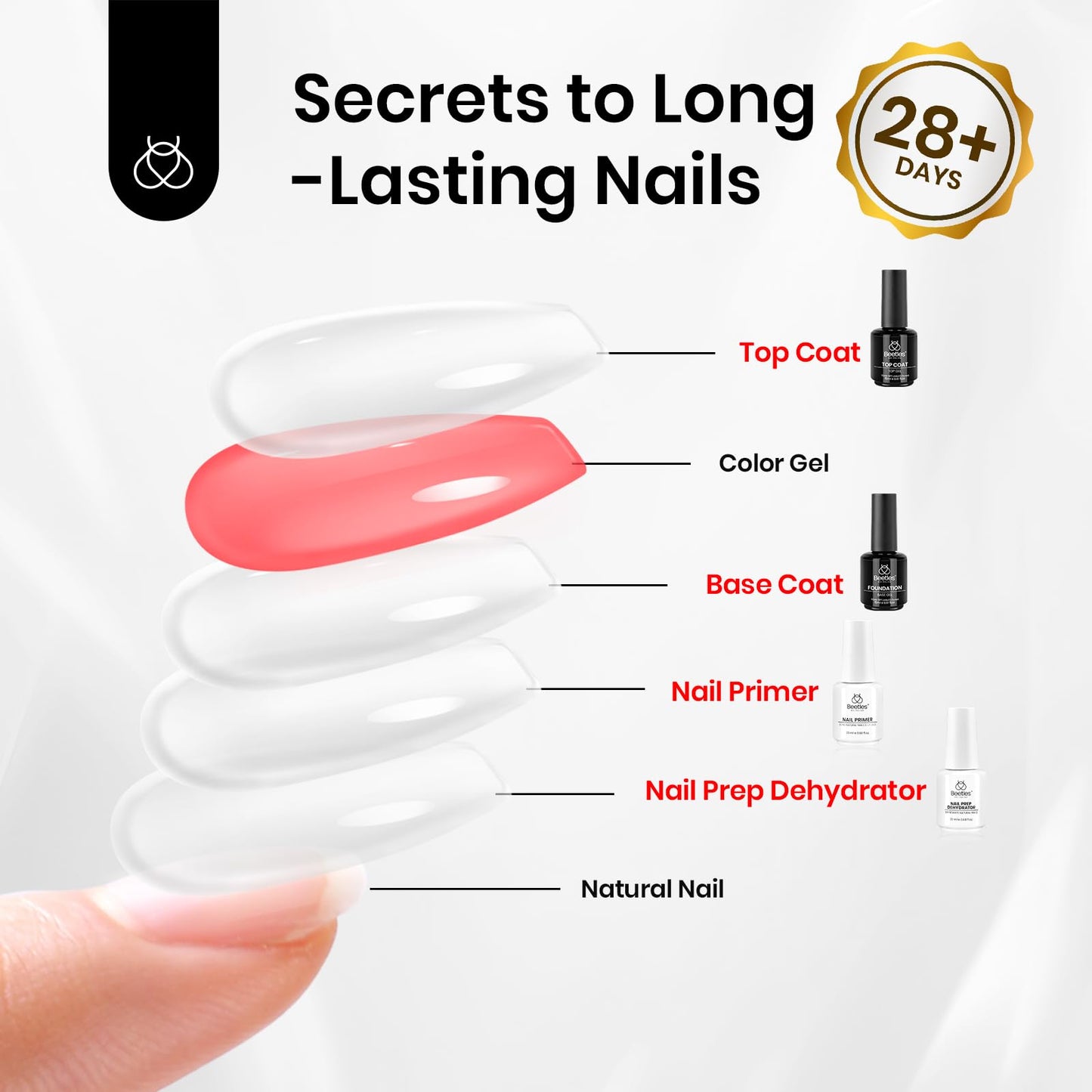 Beetles 4 Pcs 15ml Base Gel and Top Coat Kit with 20ml Nail Dehydrator and Primer, Professional Prep Acid & Hema-Free Dehydrate Bond Set for Acrylic Beauty and Personal Care beetles Gel Polish