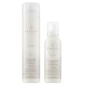 Awapuhi Wild Ginger by Paul Mitchell Style Gift Set, Mousse + Hairspray, For Styling All Hair Types