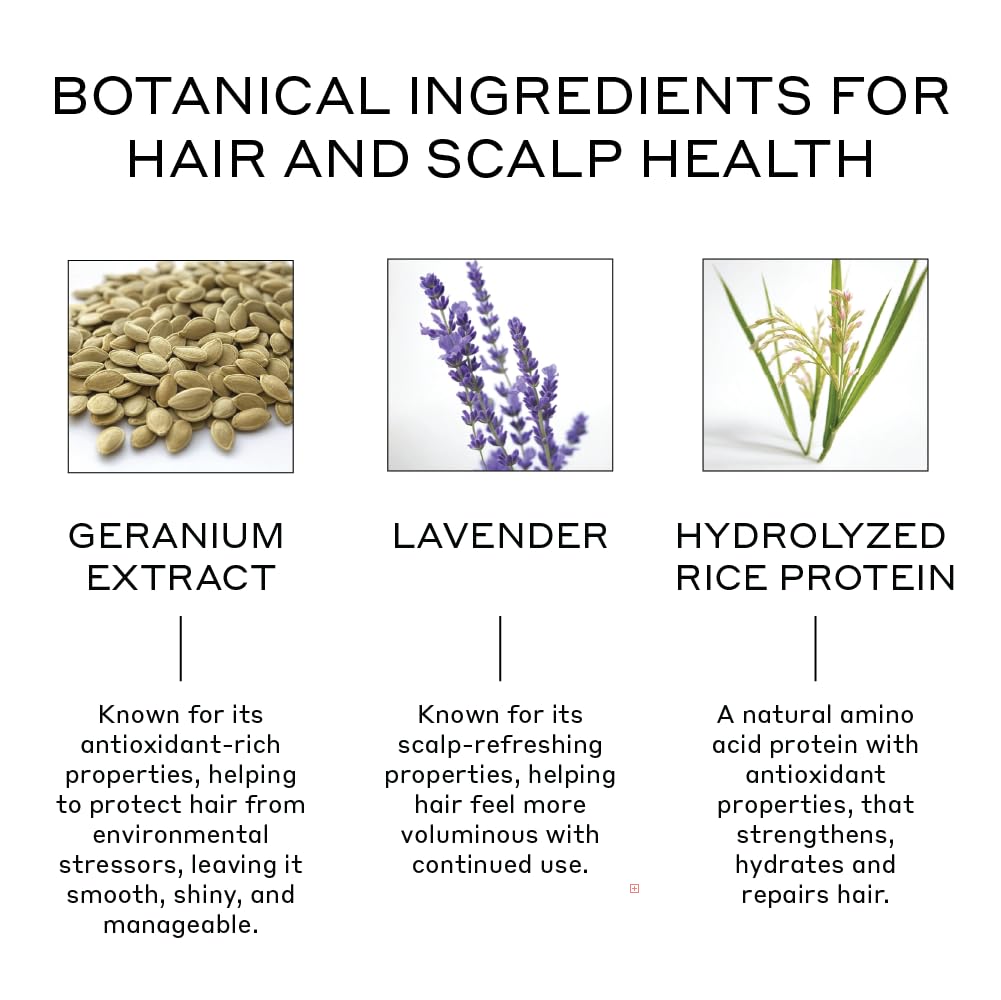 ZENAGEN Volume Foam | Lightweight Densifier + Volumizer, Boosts Hair Volume & Thickness, Provides Lightweight Hold, Nourishes & Strengthens Hair