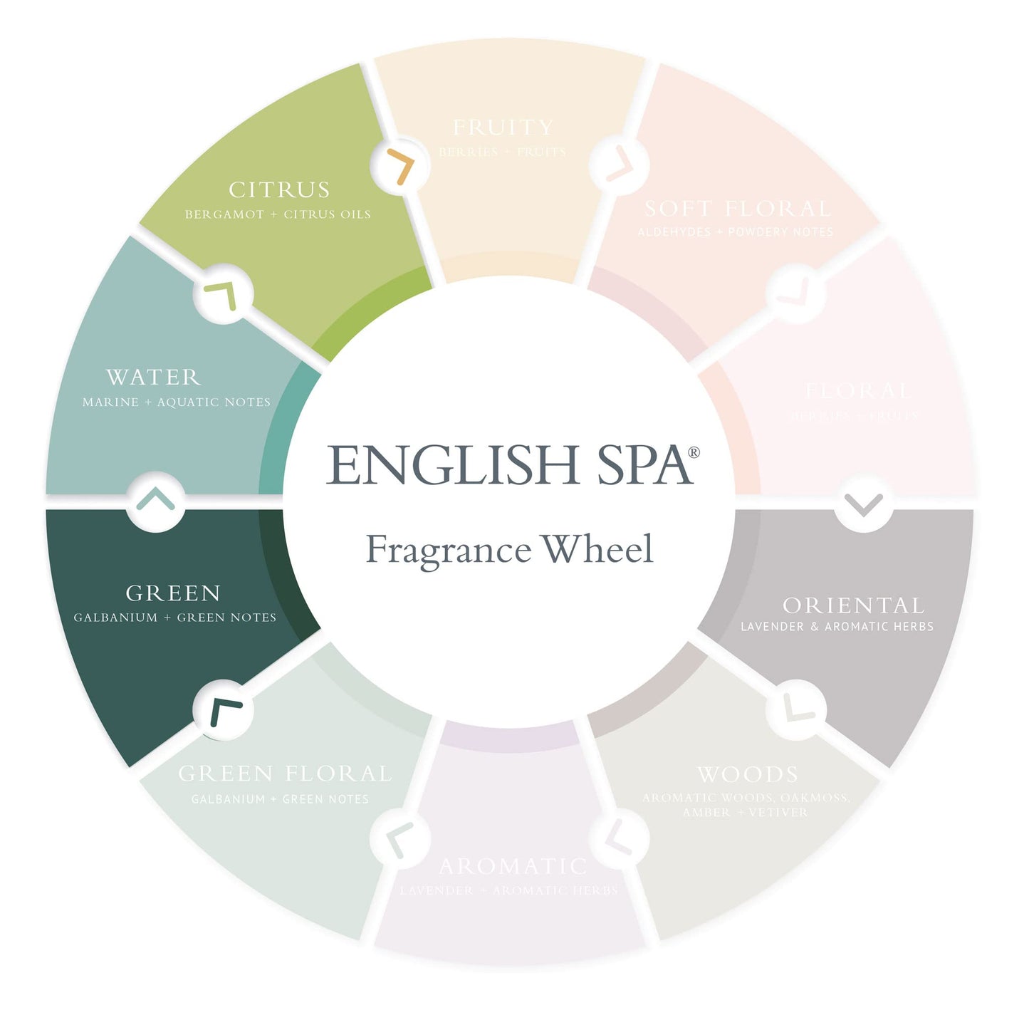 Gilchrist & Soames English Spa Shower Gel and Body Wash - 15.5oz - Citrus and Herbal Notes, Gently Cleansing, Zero Parabens, Sulfates, and Phthalates