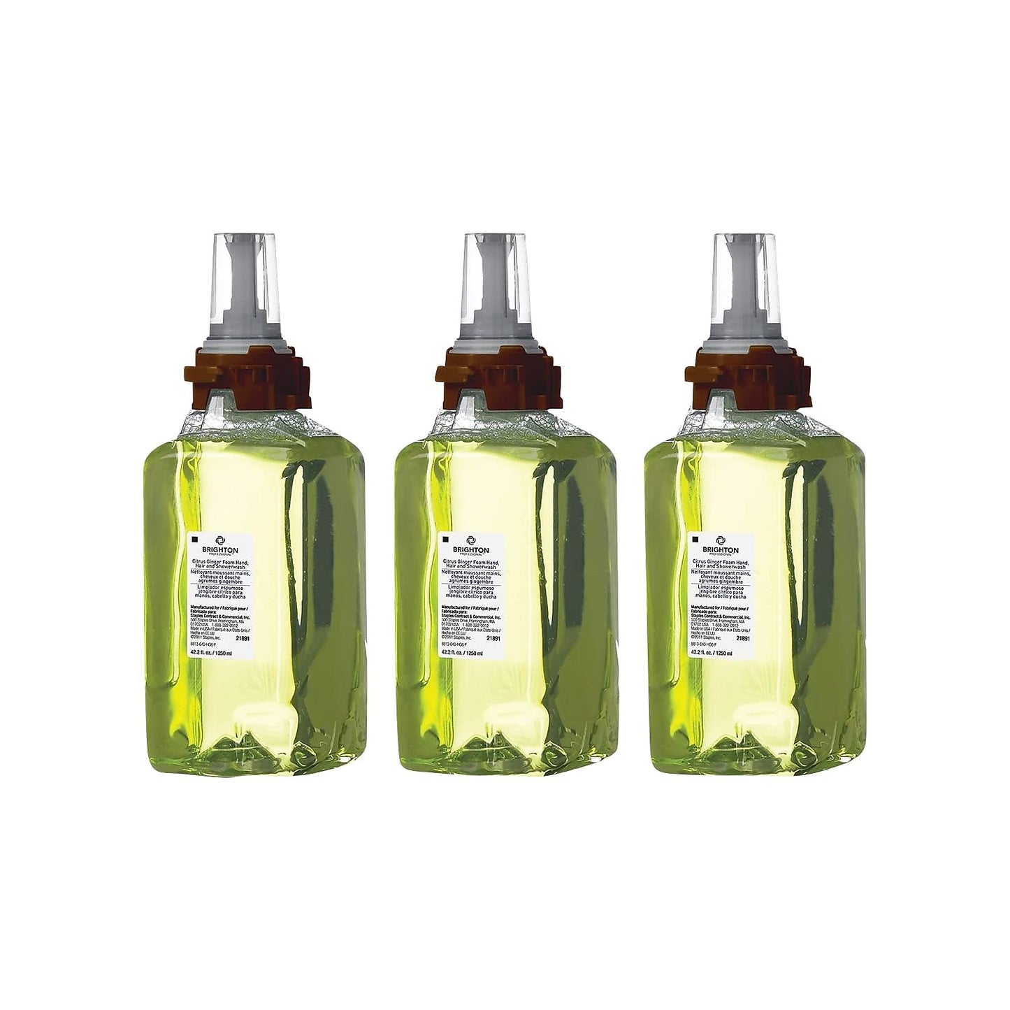 Coastwide Professional Foaming Hand Soap Refill for BP12 Dispenser, Citrus Ginger Scent, 1250 ml., 3/Carton