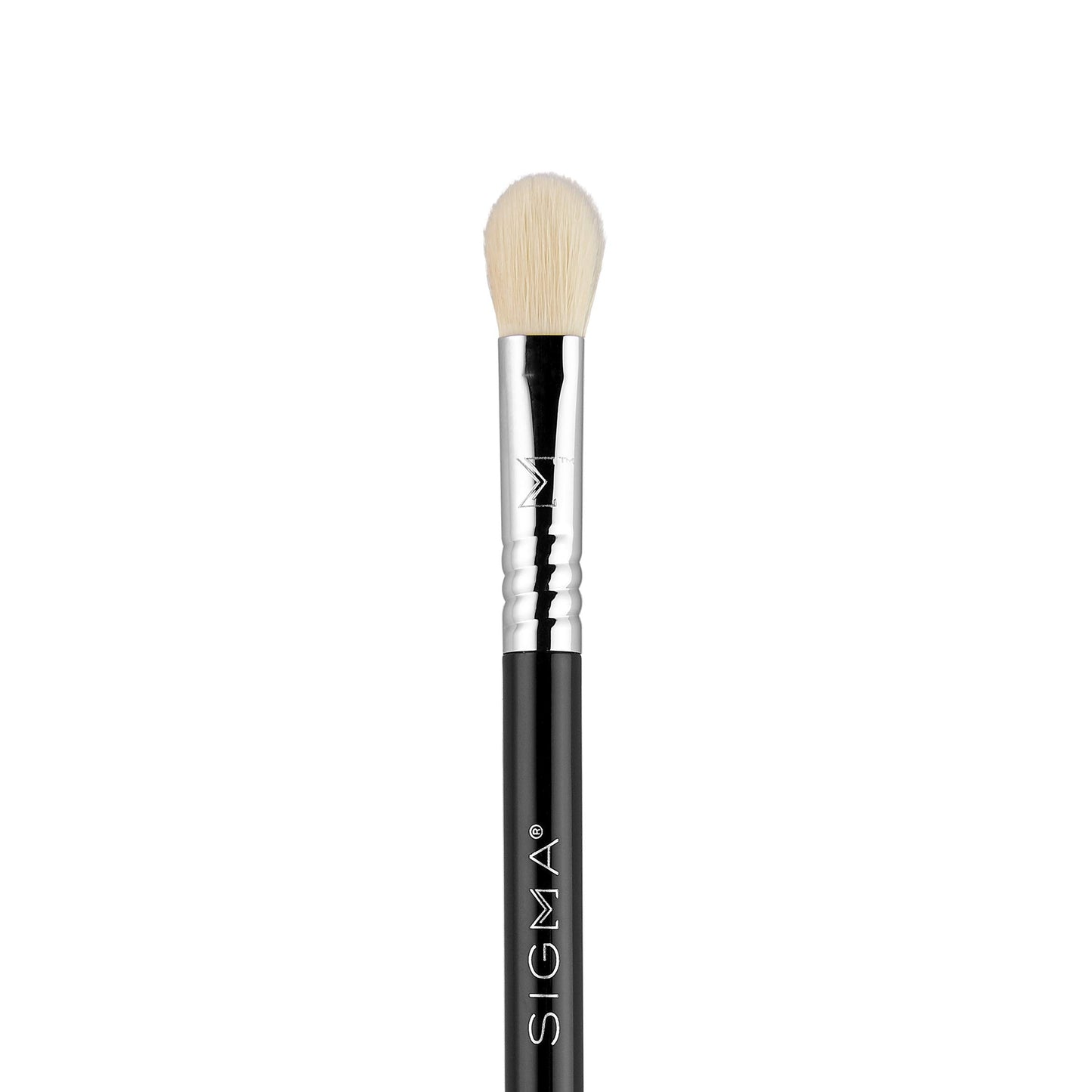 Sigma Beauty Travel Essential Trio - Makeup Brush Set for Foundation Powder Eyeshadow - 3 Tool Brushes with Brush Tin Holder - Skin Safe, Vegan Makeup