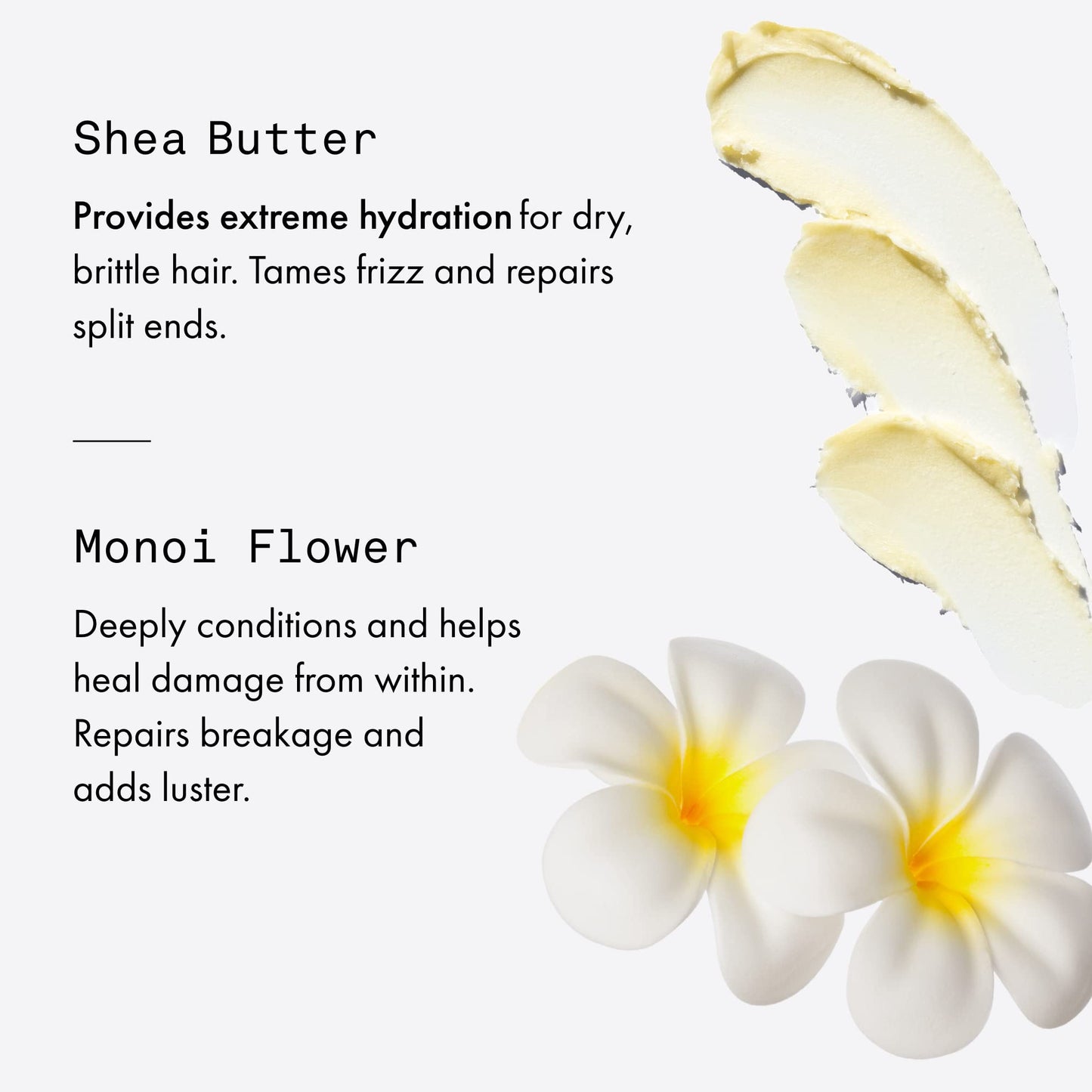 Fekkai Shea Butter Intense Oil - 50 mL - Hydrates, Smoothes & Nourishes Hair + Body - Salon Grade, EWG Compliant, Vegan & Cruelty Free