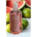 Delta Home Moisturizing Hand Soap, Watermelon & Basil Scent, Liquid Form, 16 Fl Oz