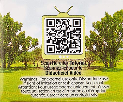 theBalm Even Steven Whipped Foundation