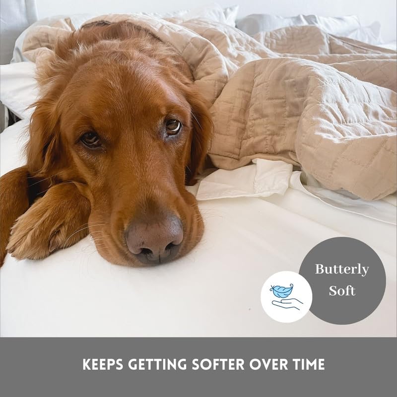 DreamFit DreamComfort 100% Natural Long Staple Cotton Sheet Set for Adjustable Bed with Elastic Corner Bands with Extra Deep Pocket up to 20 in