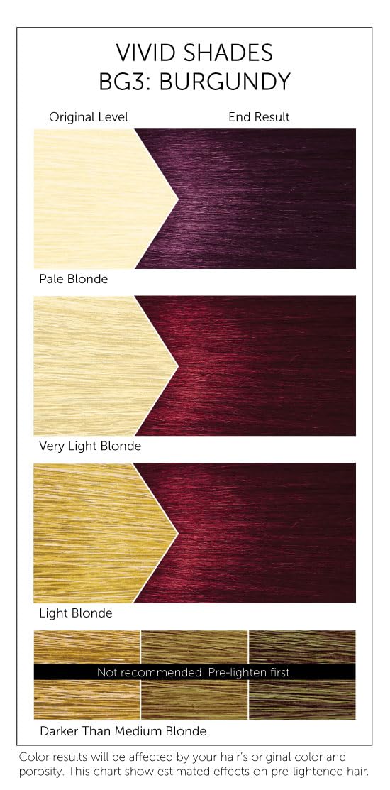 Bigen Semi-Permanent Haircolor #Bg3 Burgundy 3 Ounce (88ml) (3 Pack)