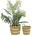 Admired By Nature Nesting Decorative White Stripe Basket with Handles - for All Season Home Decor, Indoor Outdoor Plants, Offices, Classrooms…