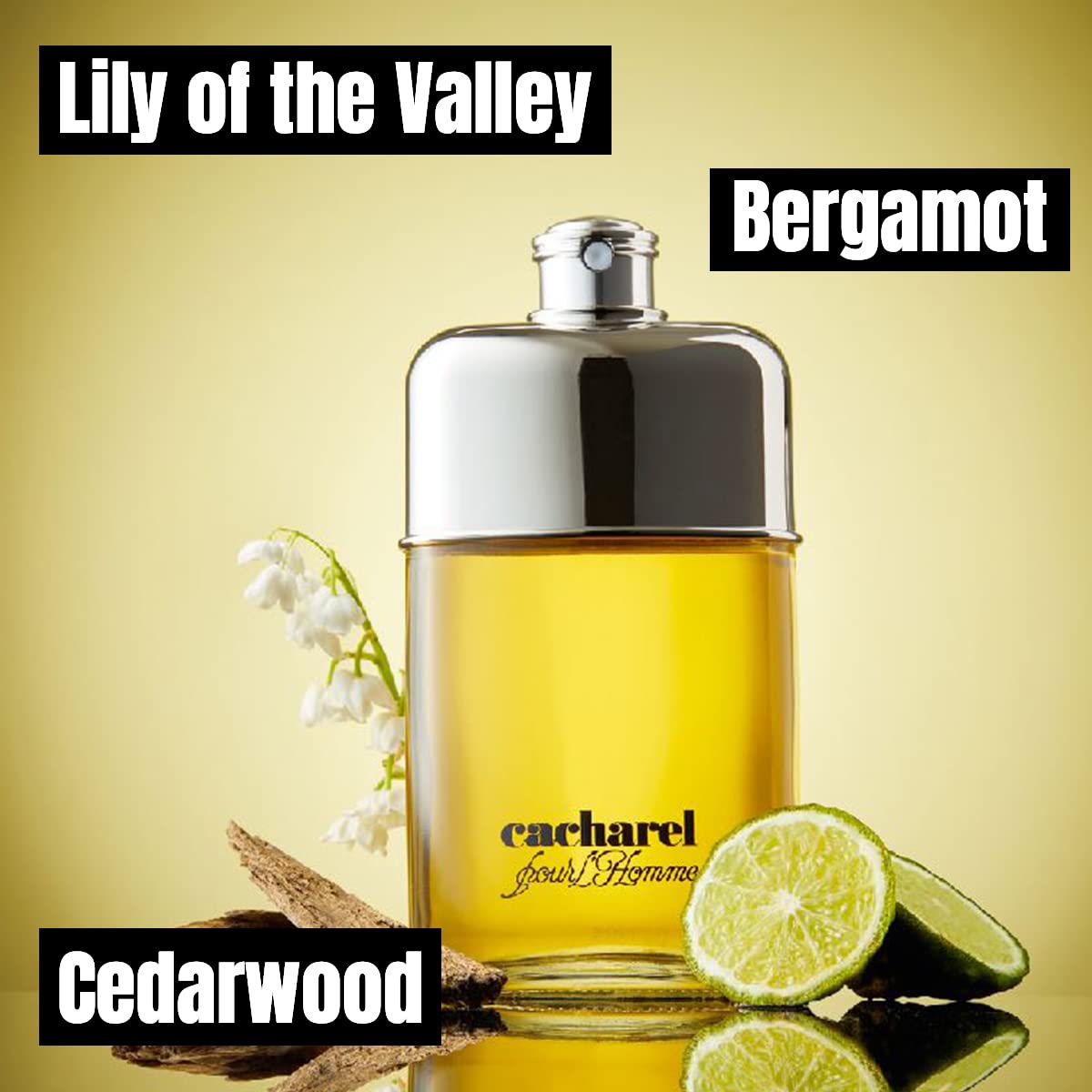Cacharel Pour L'Homme Eau de Toilette Cologne for Men, Woody, Spicy and Floral Fragrance, Notes of Bergamot, Lily of the Valley Accord and Cedar Wood