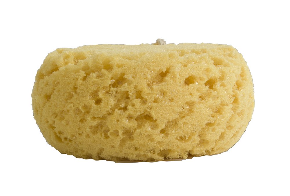 PARADISO Evriholder Sea Foam Body Sponge for Scrubbing and Exfoliating, Set of 2, Large Srubbing Loofah for A Relaxing Shower or Bath