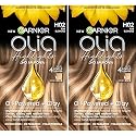 Garnier Olia Ammonia-Free Permanent Hair Dye Highlighting Kit, Oil-Rich Formula for Multidimensional Hair Color with Up to 4 Levels of Lift, Vegan