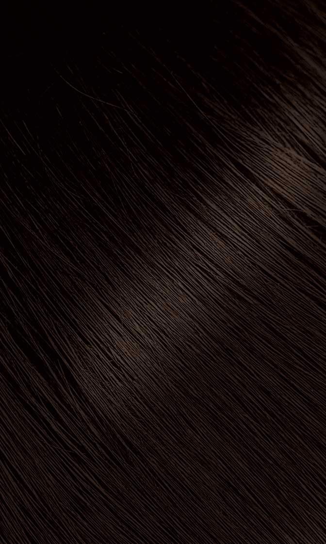 Bigen Powder Hair Color #47 Medium Chestnut 0.21oz (3 Pack)