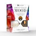 LeChat Perfect Match Mood Duo Set - Dazzling Dawn Beauty & Personal Care LECHAT
