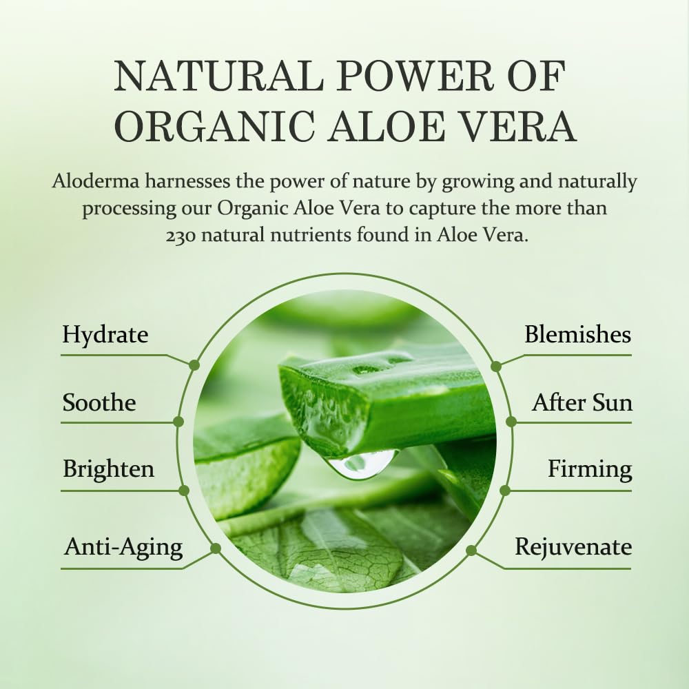 Aloderma Soothing Face Serum with 65% Organic Aloe Vera - Freshly Harvested Aloe for Sensitive Skin with Beta-Glucan & Arginine - Calming, Nourishing