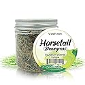 Well's Herb Dried Horsetail | 0.5 oz. | 100% Natural | Herbal Hair & Skin Oil Ingredient | DIY Beauty Essential