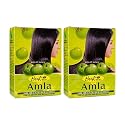 Hesh Pharma Amla Hair Powder 3.5oz., 100g (Pack of 2)