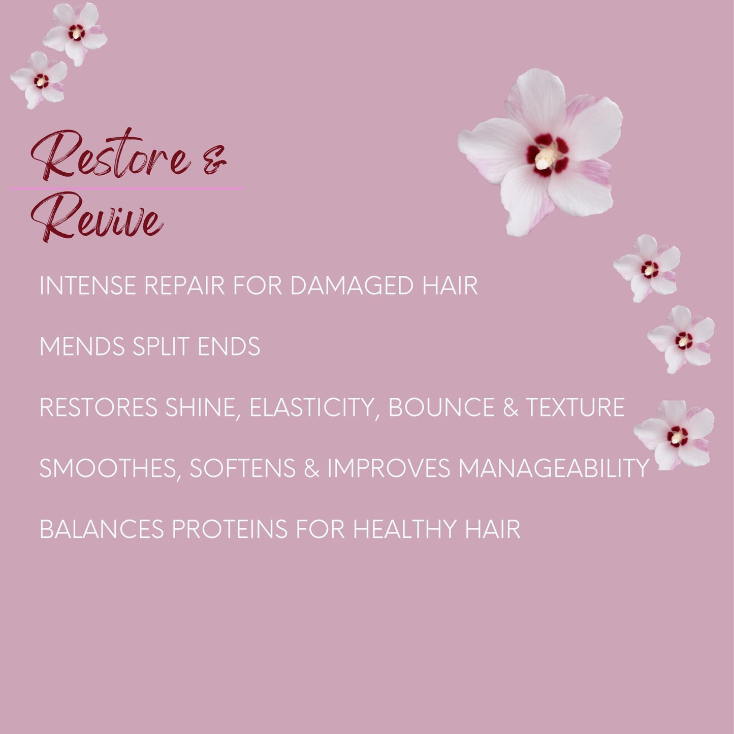 DermOrganic Hair Repair Masque - 70% Organic - Deep Conditioning Reconstructor Naturally Rebuilds Damaged Hair, 8 oz