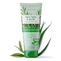 Skin 2.0 Tea Tree & Aloe Gentle Exfoliating Scrub - Dermatologist Tested, Multi-Tasking Cleanser, Clears Skin - Anti-Aging, Clean Beauty, Cruelty-Free