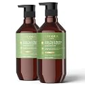 THEORIE 400 mL Shampoo & Conditioner Collection (THEORIE Sage Collection Hair Care Sets (Green Tea & Bamboo 400 mL Shampoo & Conditioner Set))
