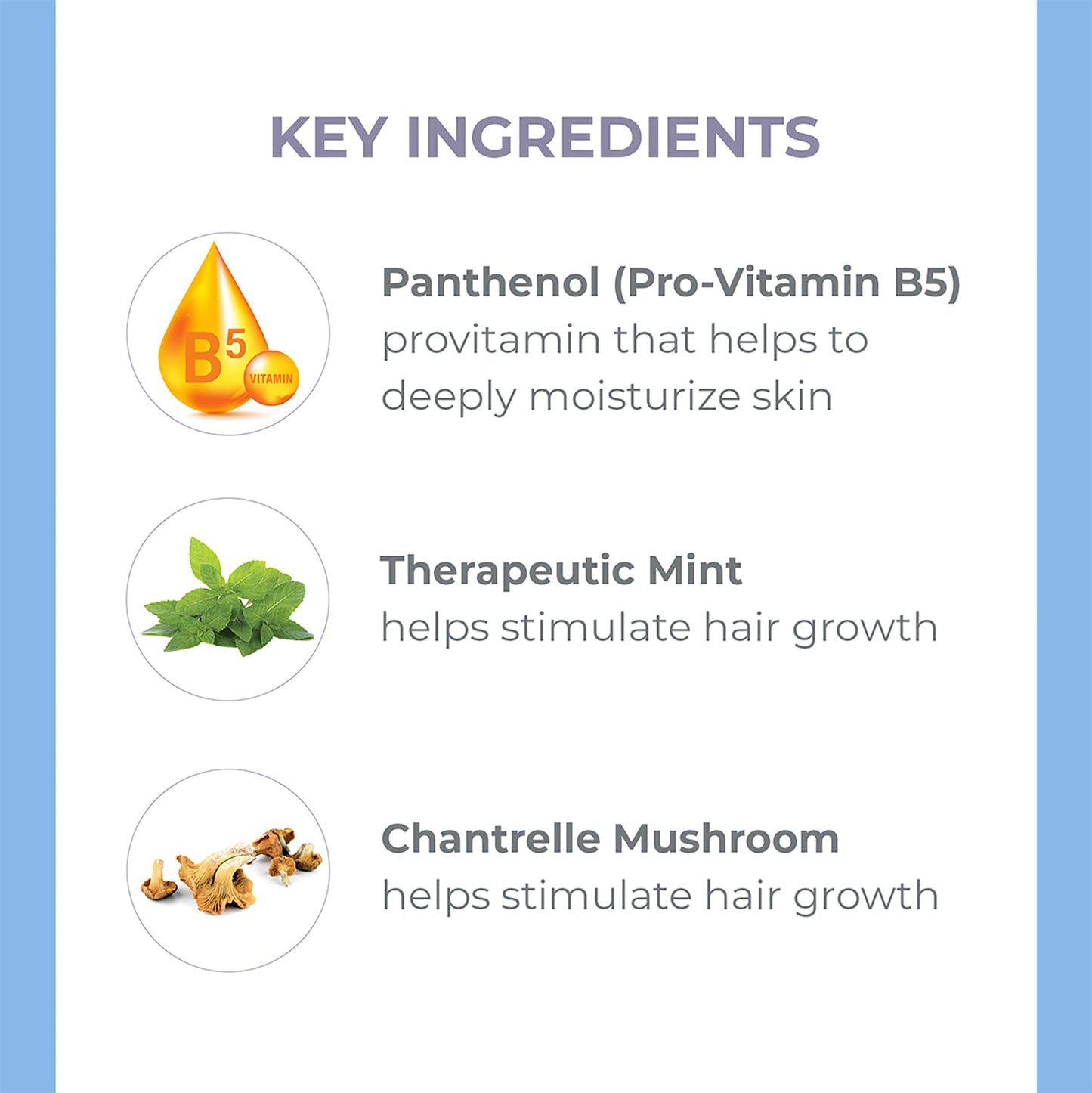 Derma E Biotin Thickening Spray - Volumizing Protein-Enriched Texturizer for Fine Hair with Panthenol, Therapeutic Mint and Chanterelle Mushroom, 3.3