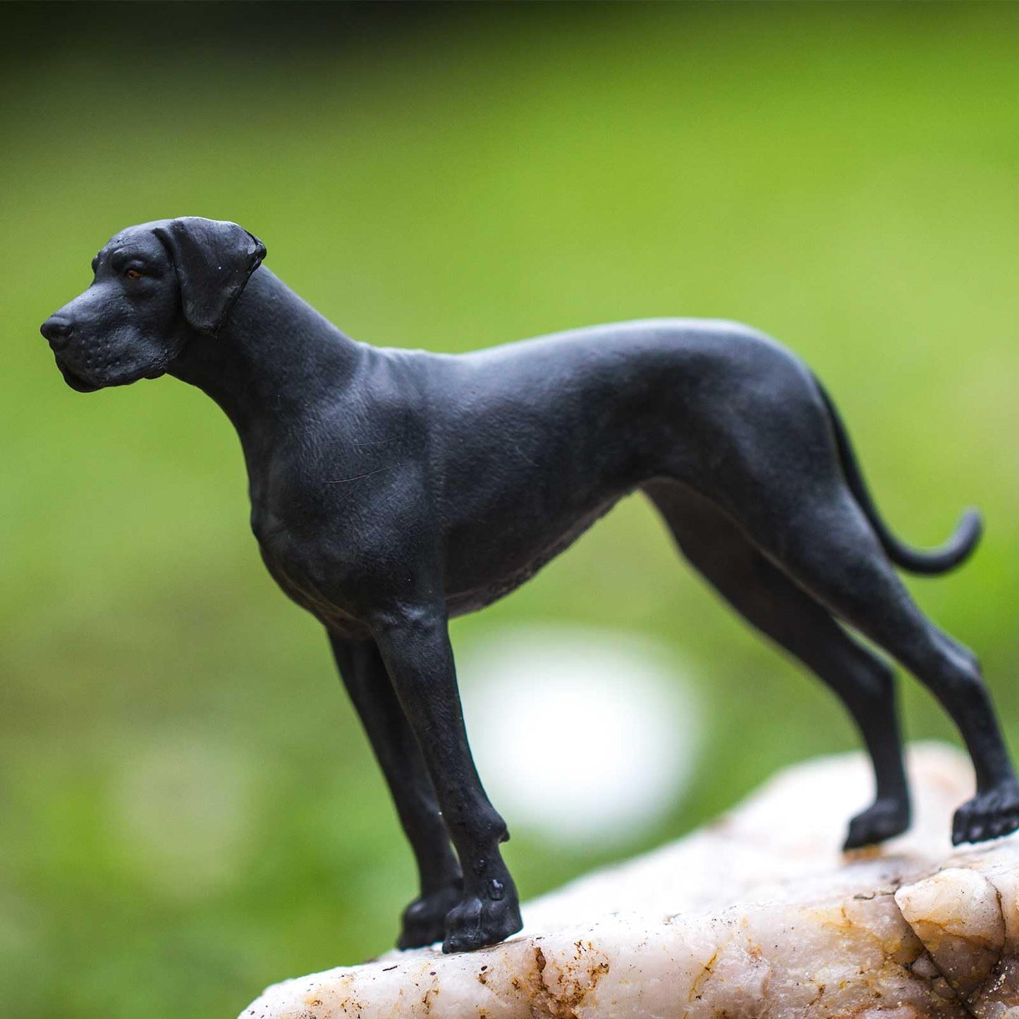 Safari Ltd. Great Dane Figurine - Detailed 5" Plastic Dog Figure - Toy for Boys, Girls, and Kids Ages 3+