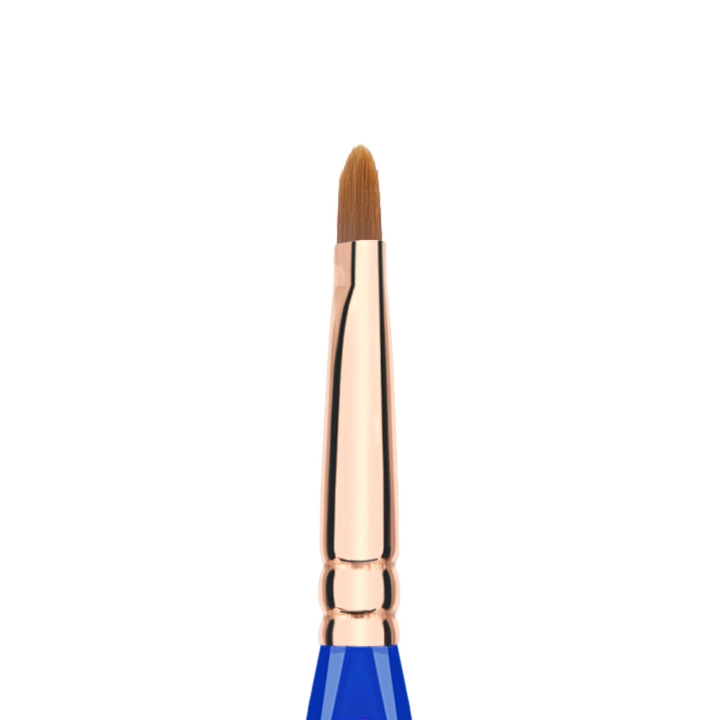 Bdellium Tools Professional Makeup Brush - Golden Triangle 542 Bold Lip - With All Vegan and Soft Synthetic Fibers, For Defining Contours of the Lips