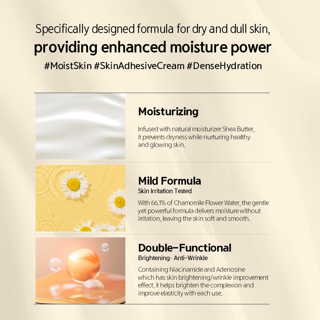 NACIFIC Fresh Herb Origin Facial Moisturizer Vitamin B, Vitamin Radiance Skin's moisture barrier Cream Hydrating day and night Korean skincare