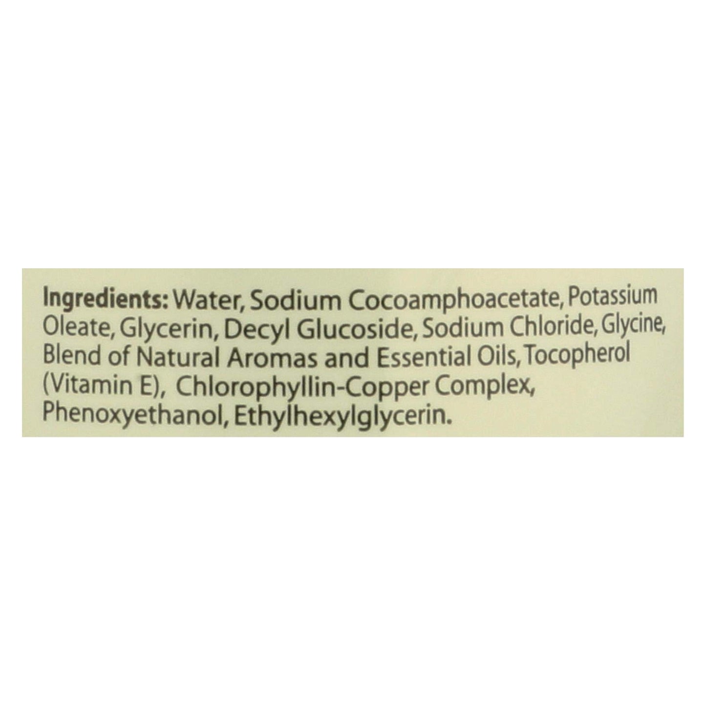 CLEARLY NATURAL LIQ SOAP W/PUMP,TEA TREE, 12 FZ Beauty & Personal Care Clearly Natural
