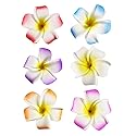 2.5" Hawaiian Hair Flower Clip Hair Barrettes for Women.Hair Buckle 4 Moana Luau Hawaiian Dresses for Women-6pc Hair Clips for Thin Hair,Hair Clips