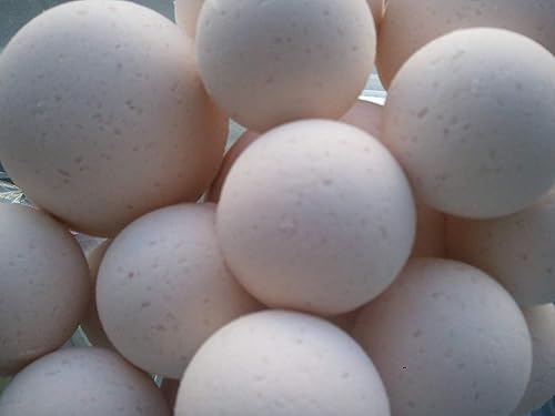 Spa Pure Lavender Chamomile Bath Bombs: USA Made with Shea Butter, Ultra Moisturizing, Great for Dry Skin (14 Count) Pack of 1