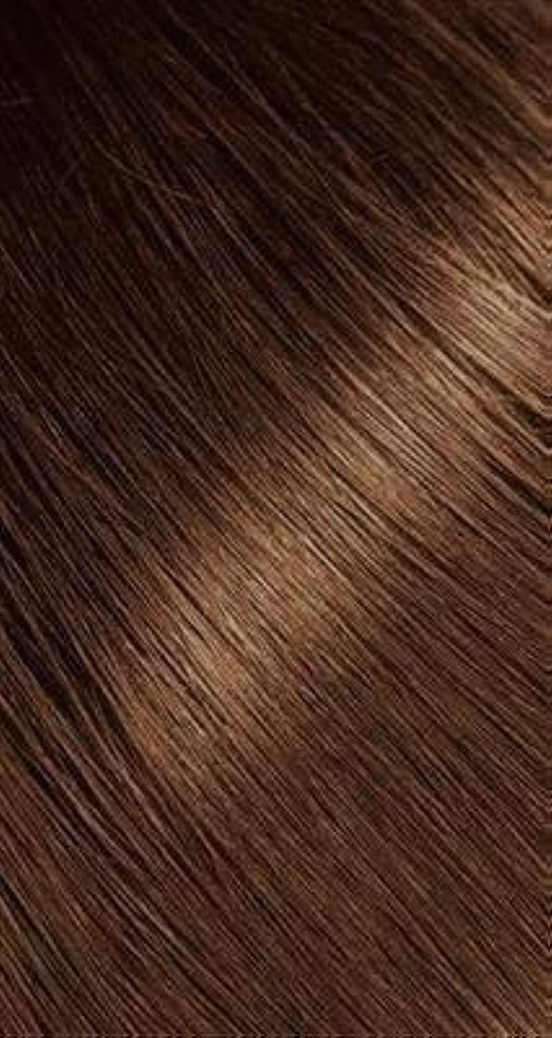 Bigen Powder Hair Color, Chocolate, 0.21 Oz (BU02P03505)