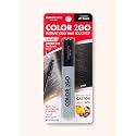 Absolute New York Color 2 Go Hair Mascara (HCHM01 Jet Black, .42 oz)