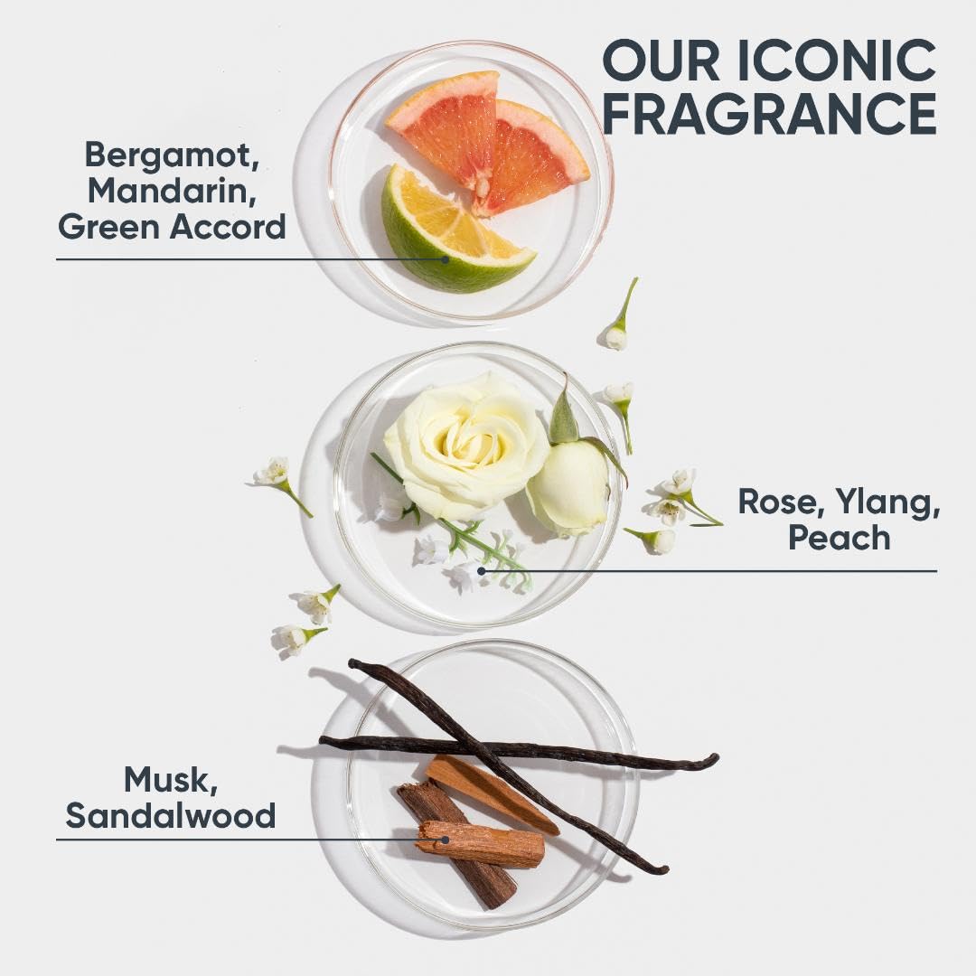 Biolage Hydra Source Deep Treatment Pack | Moisturizing & Strengthening Hair Mask | With Aloe | For Dry, Damaged Hair | Paraben Free | Vegan | Cruelty