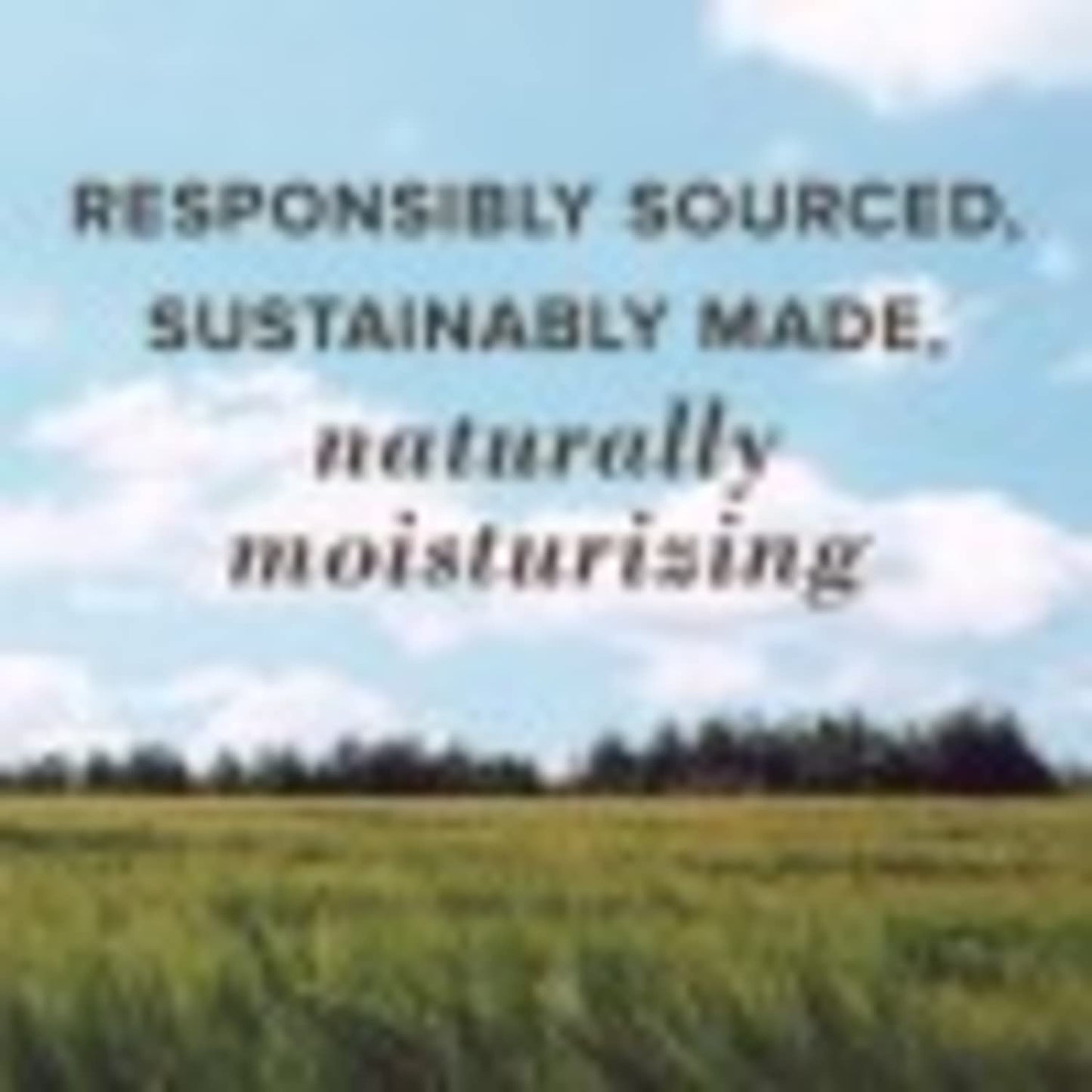 Burt's Bees 100% Natural Moisturizing Lip Balm, Pomegranate with Beeswax and Fruit Extracts, 1 Tube