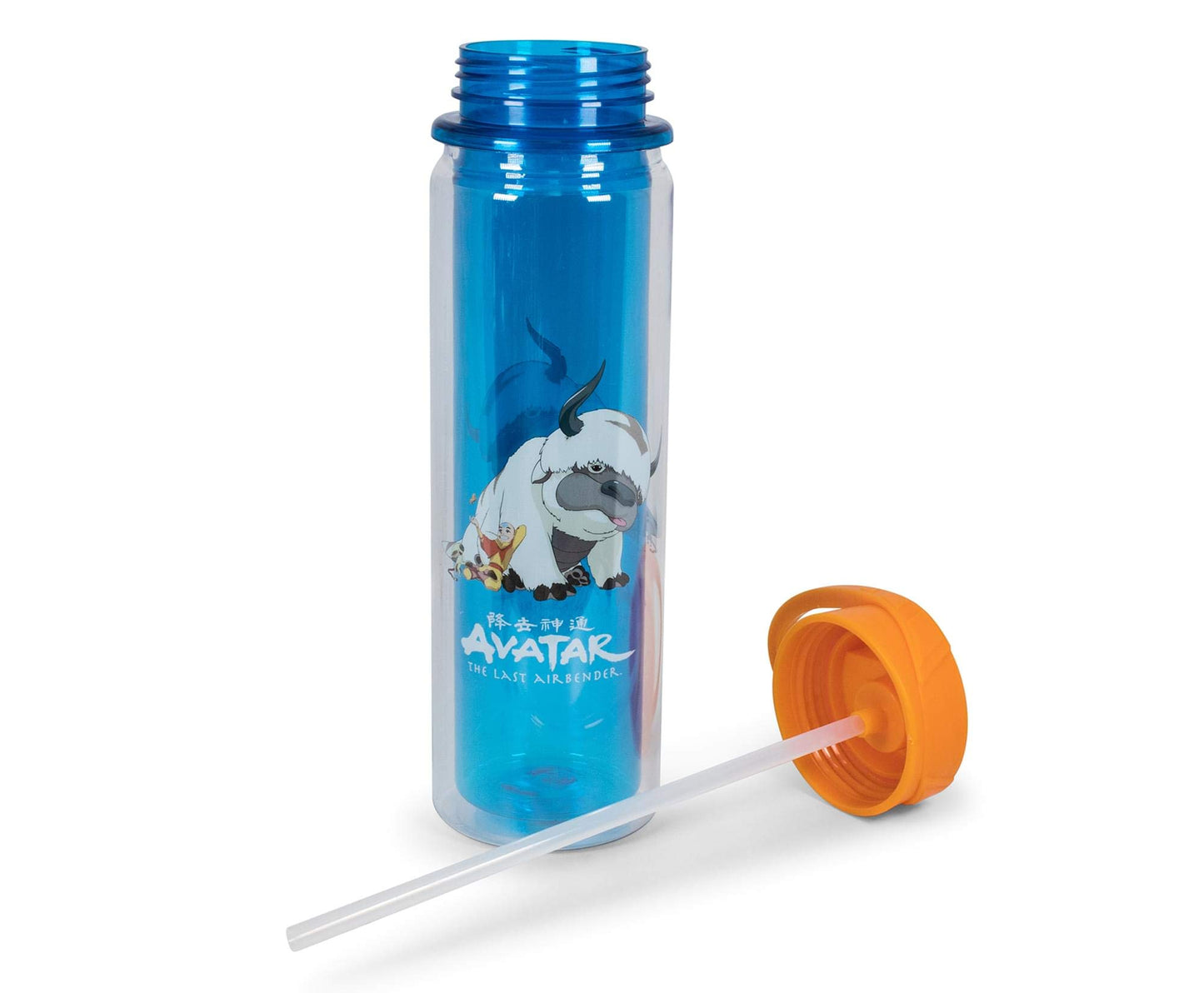 Avatar: The Last Airbender Aang and Appa Water Bottle | BPA-Free Plastic Bottle With Screw Top And Flip-Up Straw Lid | Sports Hydration | Holds 16
