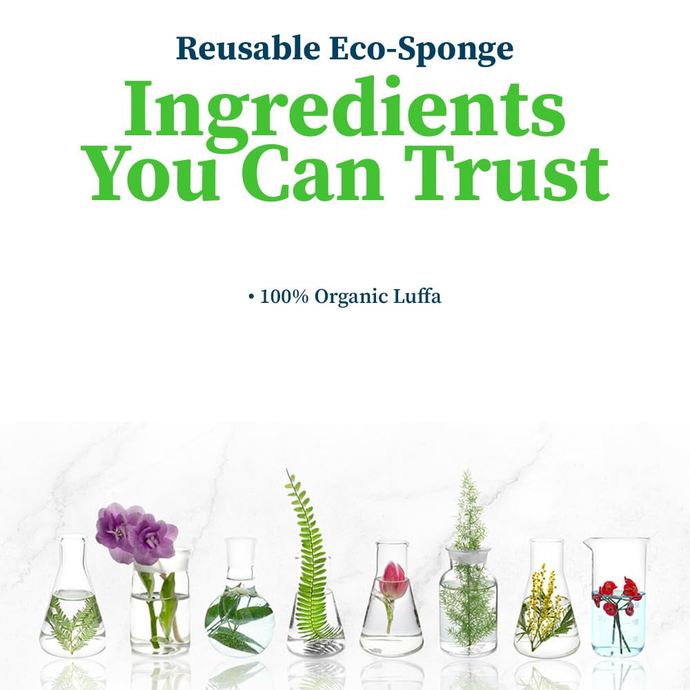 Truly Free Natural Cleaning Sponges, 100% Organic Luffa Dish Scrubber, Plant-Based Compostable Kitchen Dishwasher Sponge, Cleans Sink, Grout & Tile