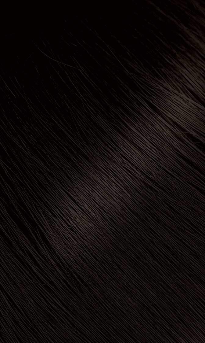 Bigen Powder Hair Color #48 Dark Chestnut 0.21oz (3 Pack)