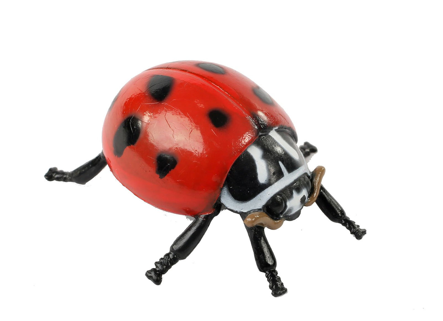 Insect Lore Live Baby Ladybug Larvae - Ladybug Growing Kit REFILL with Ladybug Life Cycle Toy Figurines - SHIP NOW