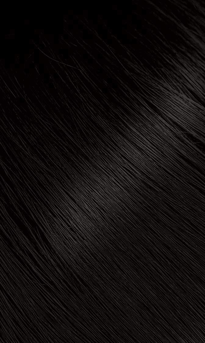 #57 Dark Brown Bigen Permanent Powder (12 Pack)