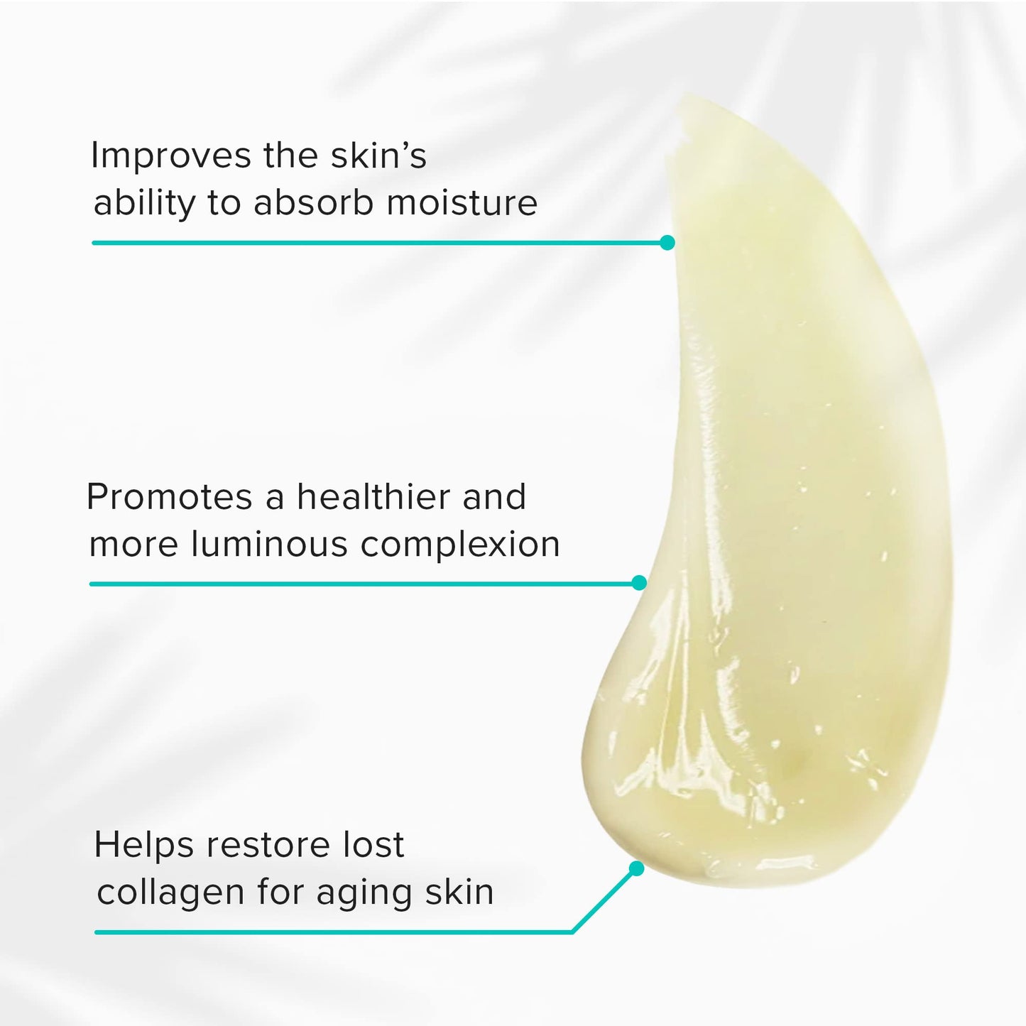 ClarityRx Daily Fruit Antioxidant Moisturizing Mango Face Mask, Plant-Based Creamy Anti-Aging Facial Treatment, Recommended for Mature or Dry Skin