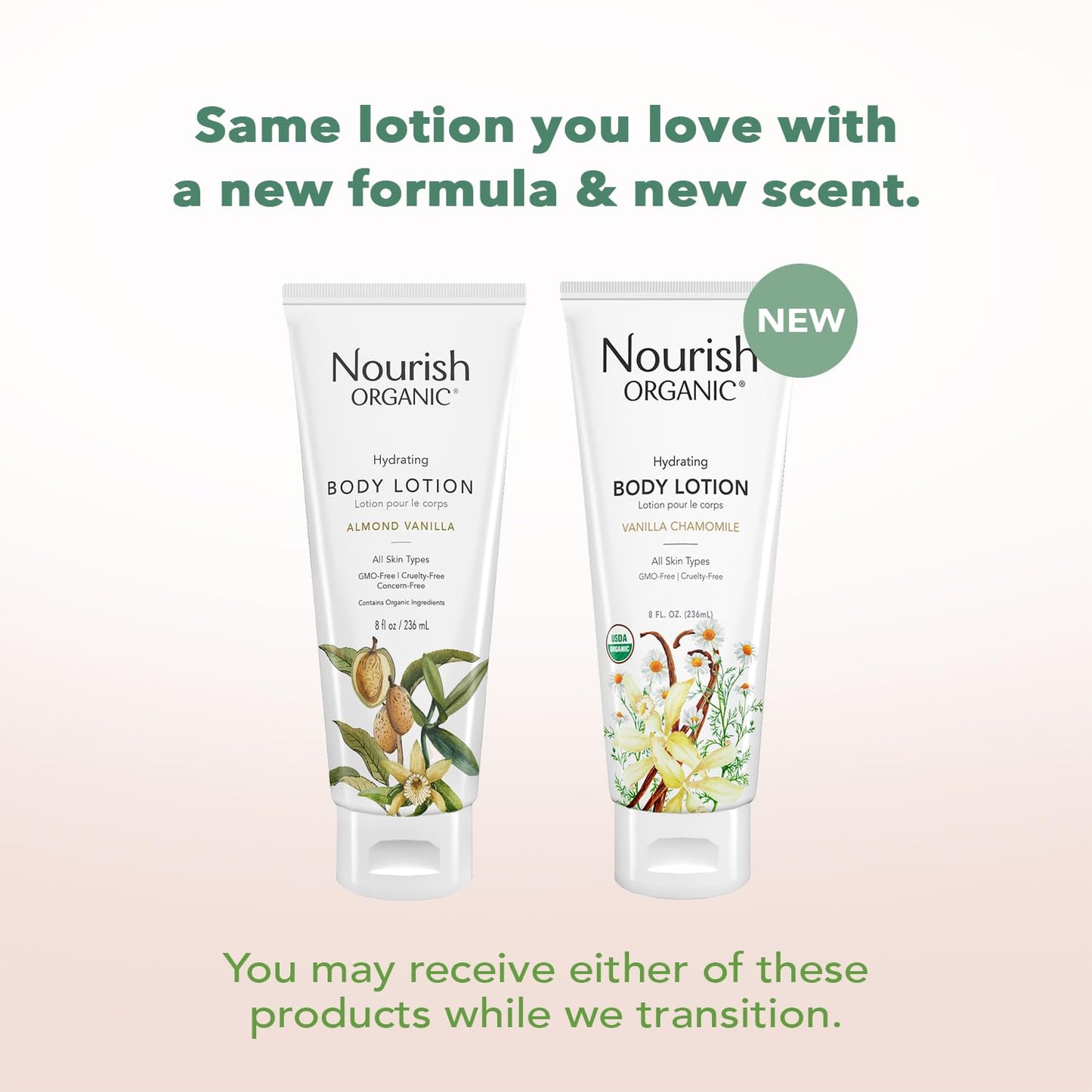 Nourish Organic Body Lotion, Almond Vanilla - Hydrating Body Lotion for Dry Skin with Aloe Vera & Shea Butter (8 Oz) + Washable Cotton Round