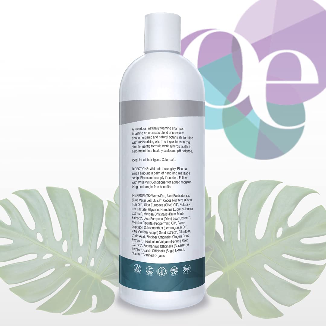 Organic Excellence Mint Shampoo, 16-Ounces (Pack of 2)
