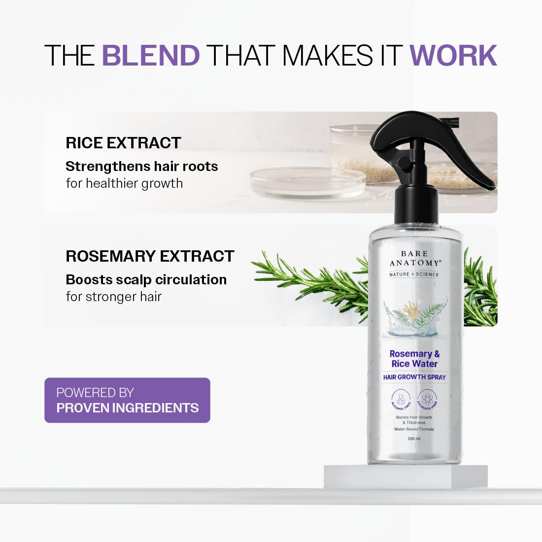Bare Anatomy Nature x Science Rosemary Water Spray for Hair Growth & Hair Thickness with Rice Water |100% Natural Extract | Soft & Smooth Hair| Beauty and Personal Care Bare Anatomy