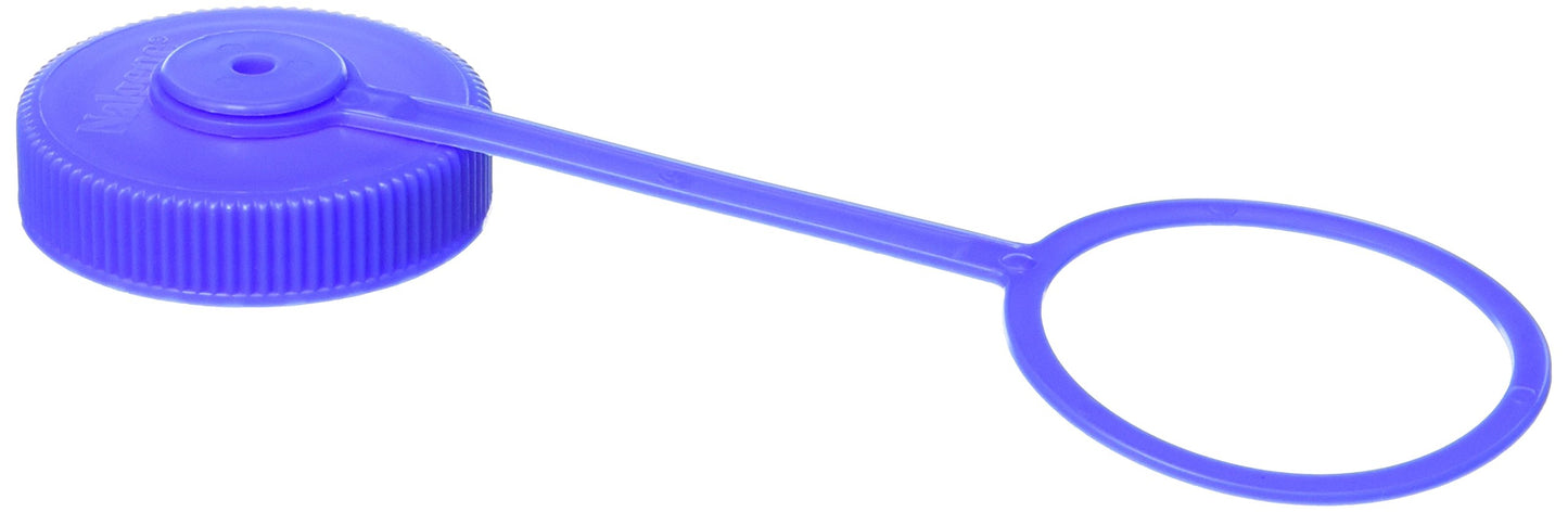 Nalgene Lid Wide Mouth Loop-Top Water Bottle (Blue)