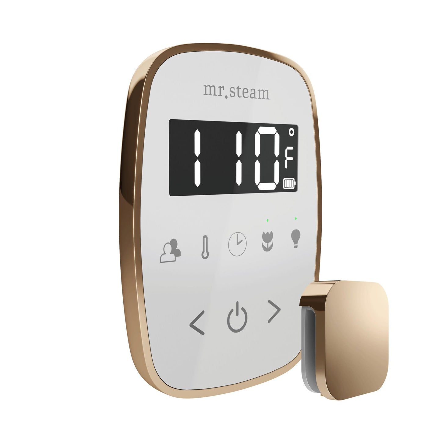 Mr Steam TempoFlex Steam Shower Control and Steamhead in White OilRubBronze Beauty and Personal Care Mr. Steam
