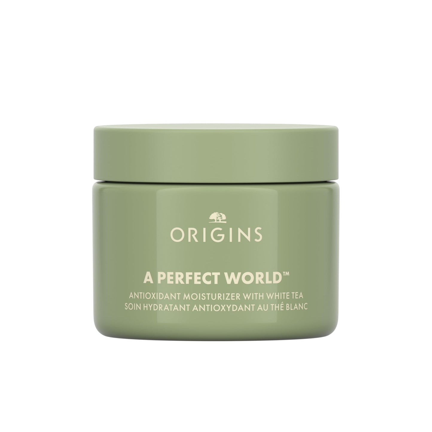 Origins A Perfect World Antioxidant Moisturizer | Keeps Skin Looking Youthful | With White Tea, 1.7 Fl Oz