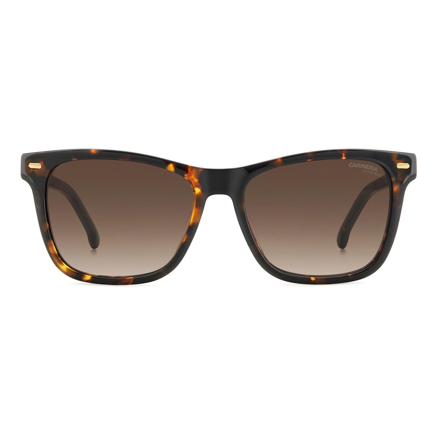 CARRERA CARRERA 3001/S 086 HAVANA 54/16/140 WOMAN Sunglasses